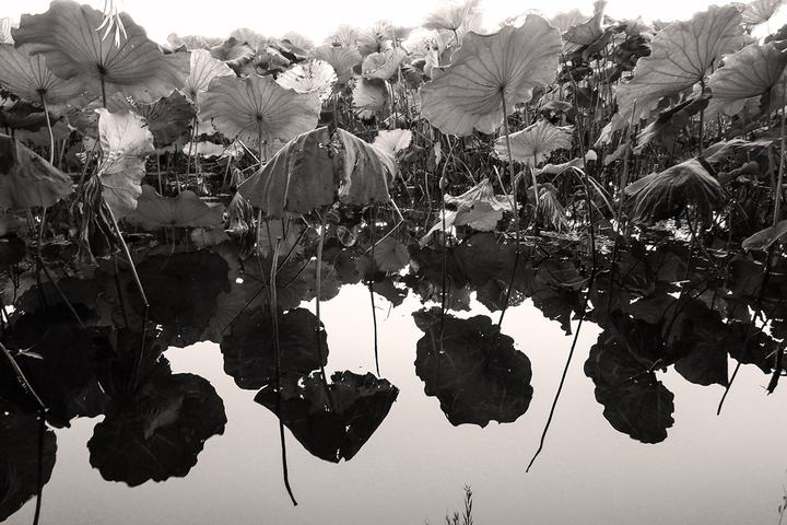 Westsee | Hangzhou | Zhejiang 2018