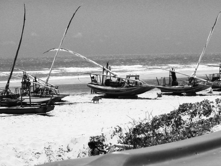 Jangadas, traditional fishing boats in Morro Branco | Ceará | 2006