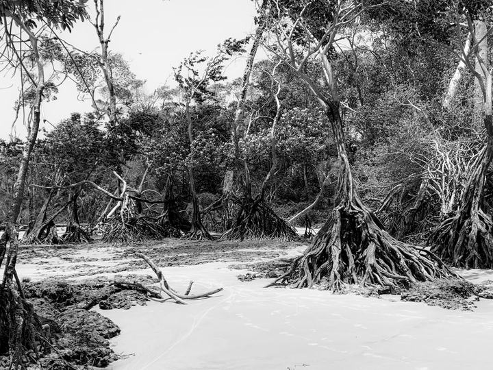 Beach close to Salvaterra | Ilha de Marajó | Pará | 2019