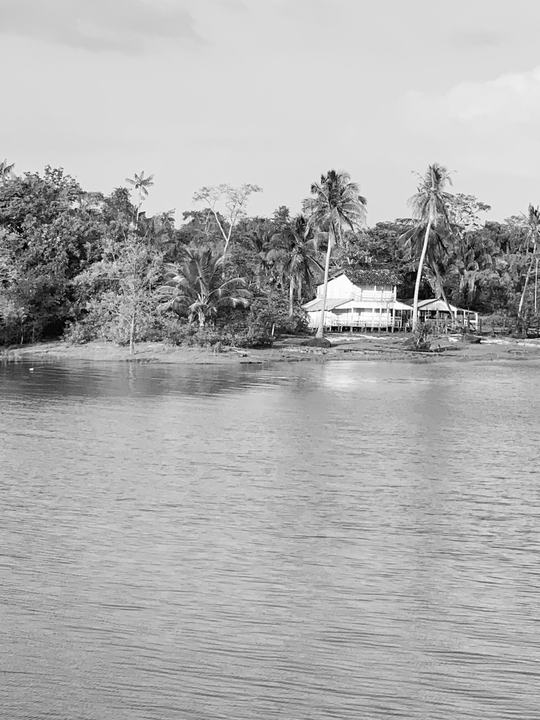On the way to Marajó | Pará |2019