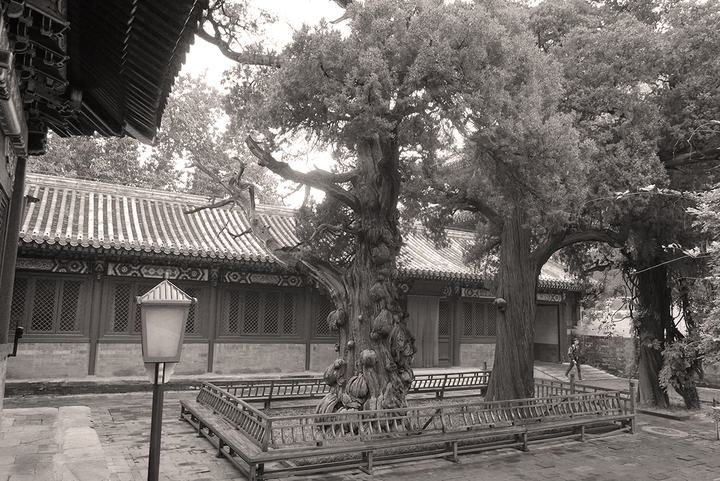 Beijing | Konfuziustempel | 2017