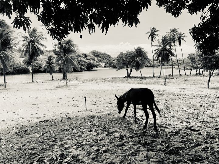 Aquiraz 2020